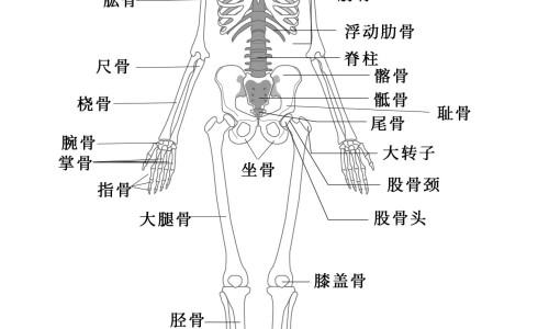 孕妇血糖高吃什么好营养食谱-孕妇血糖高吃什么粥网—知名的血糖高孕妇吃什么水果好网站,分享孕妇血糖高吃什么好营养食谱知识