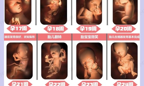 孕妇血糖高吃什么粥网—知名的血糖高孕妇吃什么水果好网站,分享孕妇血糖高吃什么好营养食谱知识
